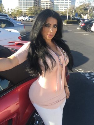 Shemale Escorts In Los Angeles